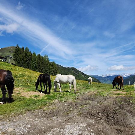 Lipphuette Top Lage Mit Traumhafter Aussicht Rauris Exterior foto